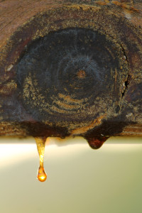 H0034