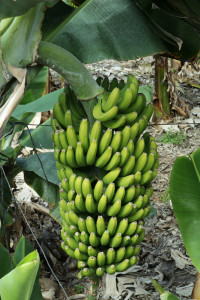 P0012