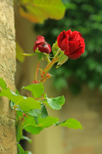P0027