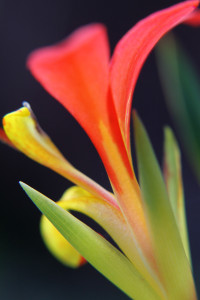 P0028