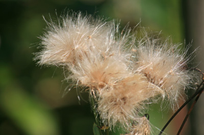 P0056